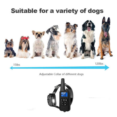 Dog Bark Training Collar with Rechargeable Remote