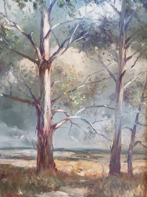 Chris Tugwell Stunning gumtrees oil on board 60 x45 cm