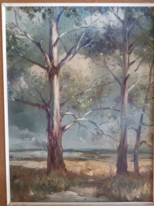Chris Tugwell Stunning gumtrees oil on board 60 x45 cm