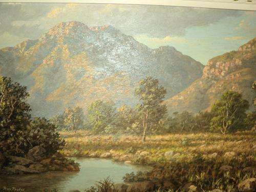 Roy Taylor 60x40 cm oil
