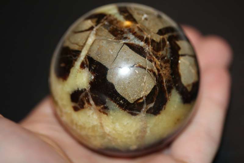 Large Septerye Ball