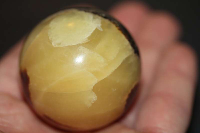 Septerye Ball