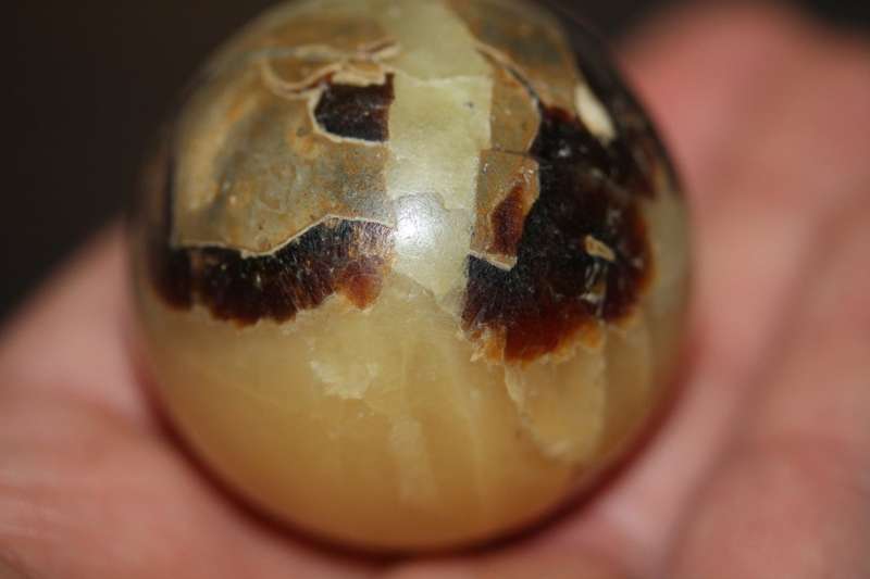 Septerye Ball