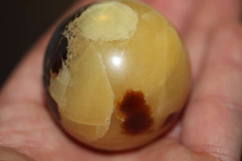 Septerye Ball