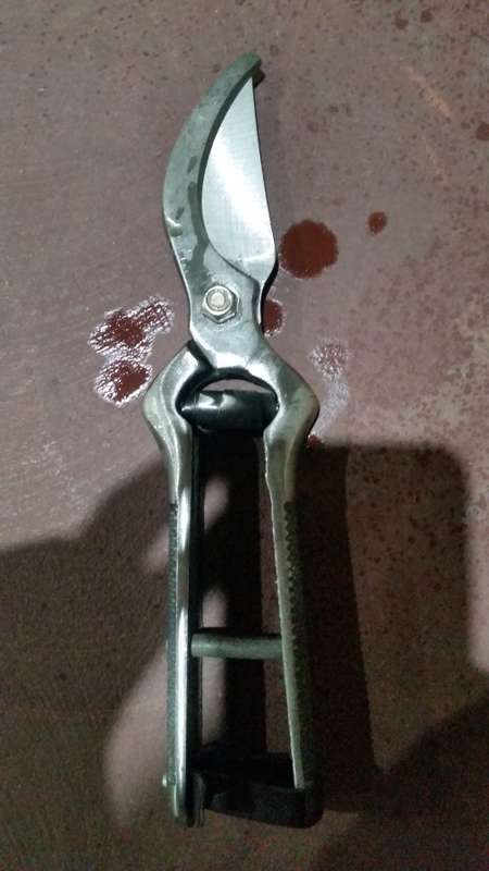 Garden scissors/ cutter