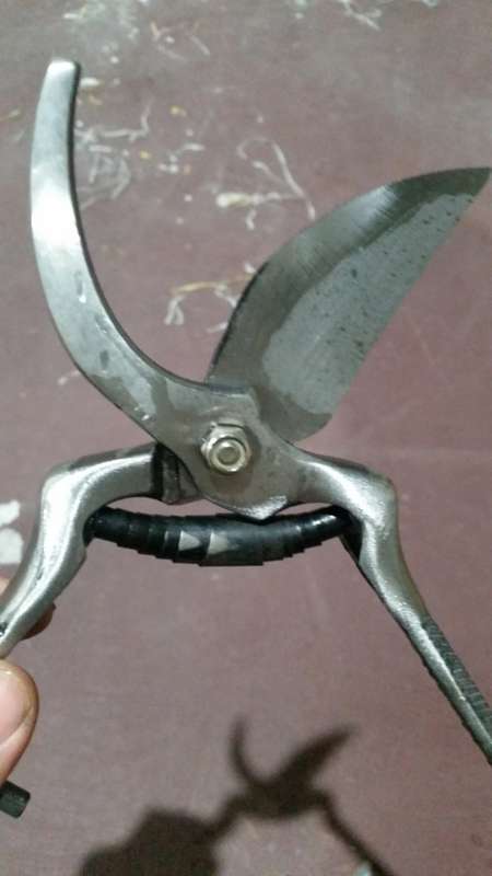 Garden scissors/ cutter