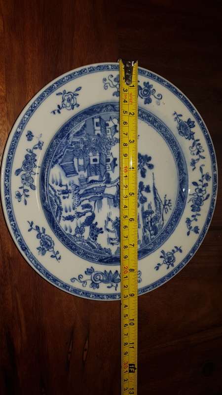 CHINESE BLUE and WHITE PLATE GARDEN