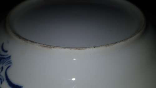 CHINESE BLUE and WHITE PLATE GARDEN