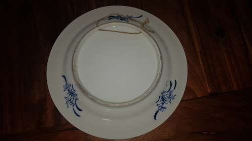 CHINESE BLUE and WHITE PLATE GARDEN