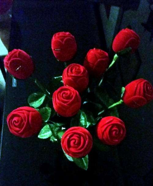Valentine's Day Special offer ---Rose Jewellery Case