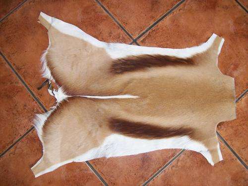 TANNED SPRINGBOK HIDES ,TOP QUALITY !!!!