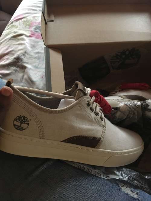 Timberland  sneakers