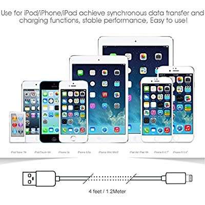 CARVE Apple Cable for iPhone
