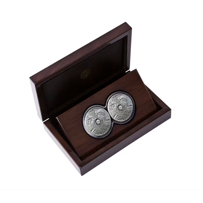 BIG 5 Fine-Silver Double Proof Coin Set 2020 - Leopard