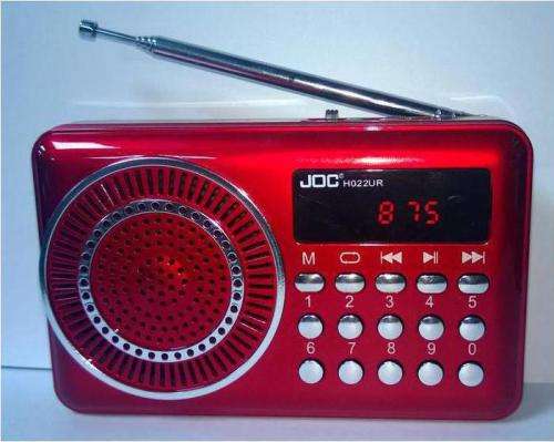 Mini Digital Radio/Music player