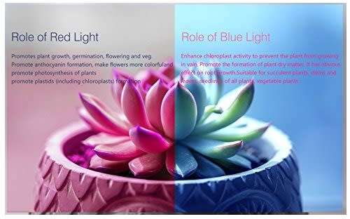 45W LED Plant Growth Light - Full Spectrum