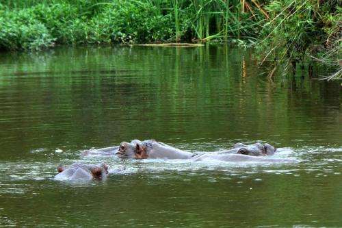 Kruger Park Lodge 28 July to 4 August 2023