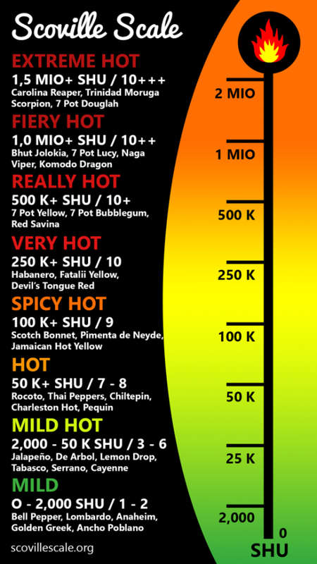 HOTTEST CHILLIE SAUCE AROUND Guaranteed Fire in a bottle or your money back