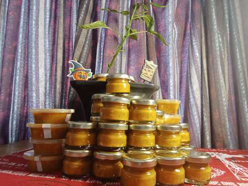 HOTTEST CHILLIE SAUCE AROUND Guaranteed Fire in a bottle or your money back