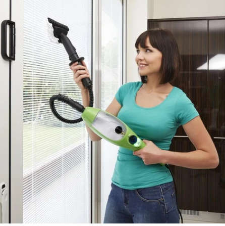H20 Mop X5 ( 5 in 1 stream cleaner)