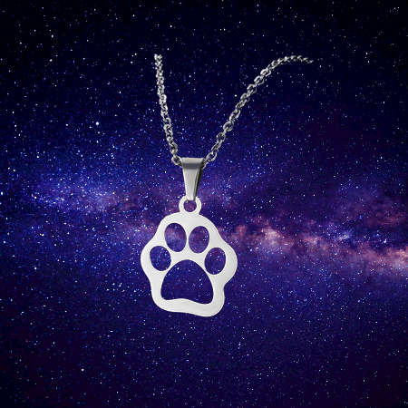 TITANIUM PET PAW NECKLACE