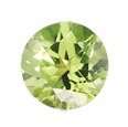 Genuine Natural Peridot Gemstone - 0.02ct