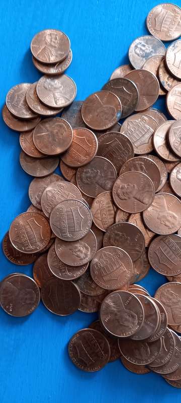 100 shield pennys  usa