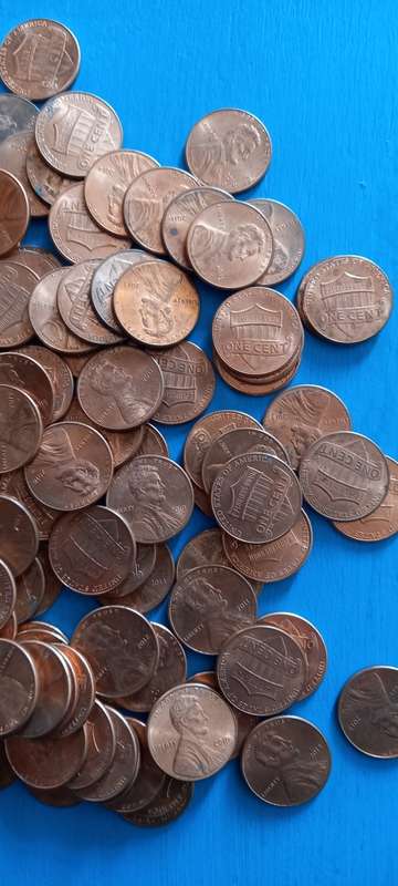 100 shield pennys  usa