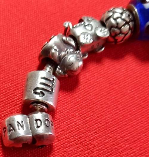pandora braclet and charms  .925 silver