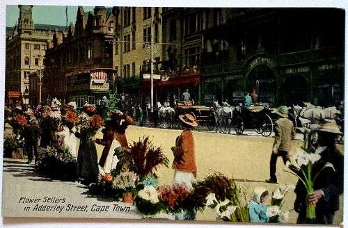 FLOWER SELLERS IN CAPE TOWN.UNUSED