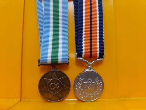 SADF Miniature Medal Pair