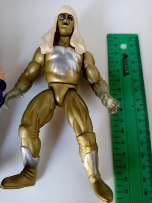WWF Undertaker and Gold Dust