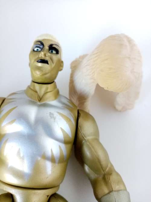 WWF Undertaker and Gold Dust