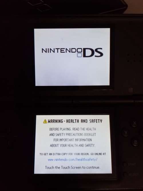 Nintendo Ds Lite Lot 2