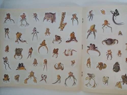 Panini Mammals Sticker Book