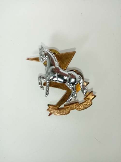 TECHNICAL SERVICE CORPS BERET BADGE