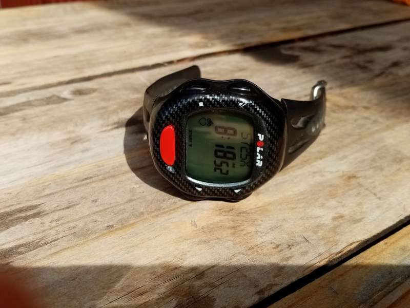 Polar Watch