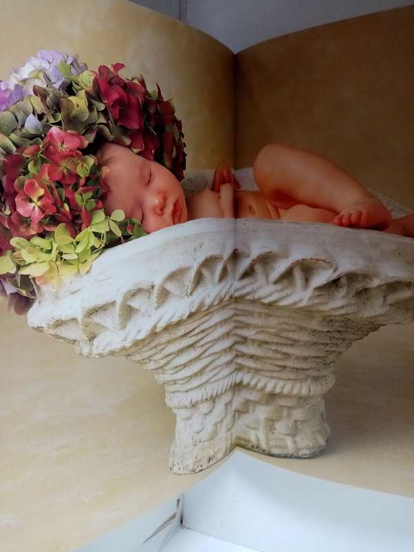 Anne Geddes Book