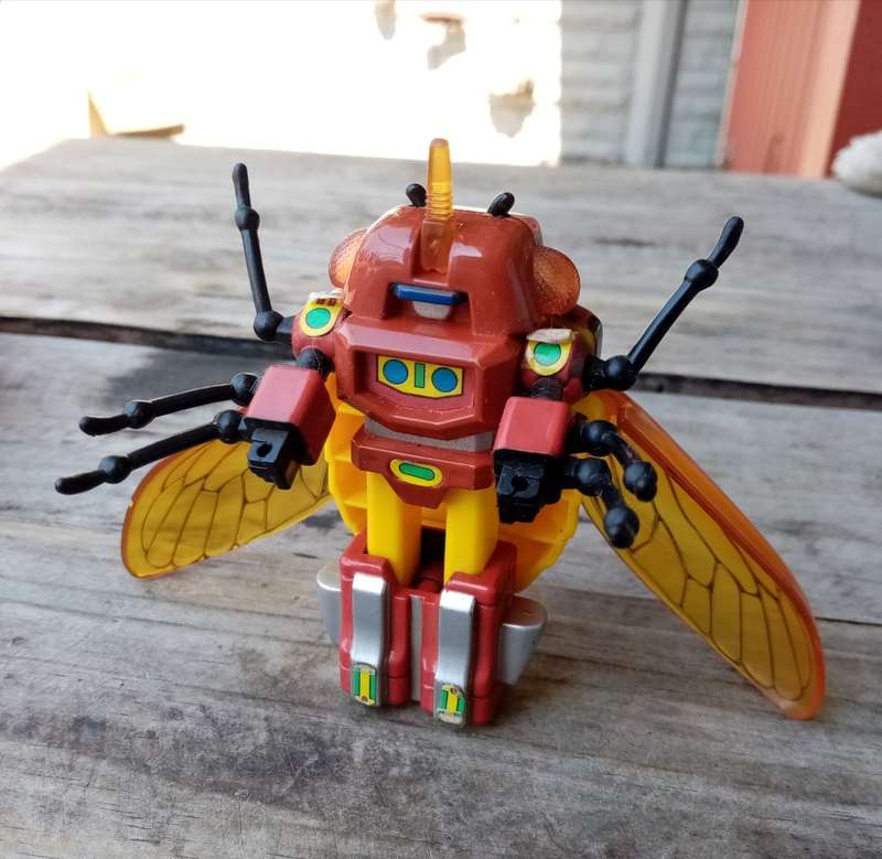 Wow Vintage Insect Bot Cicada