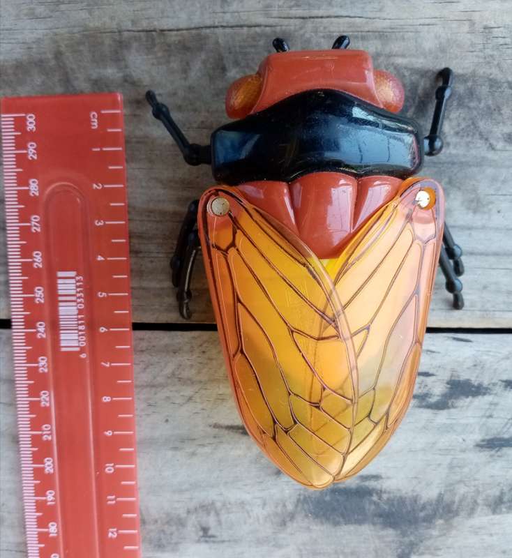 Wow Vintage Insect Bot Cicada
