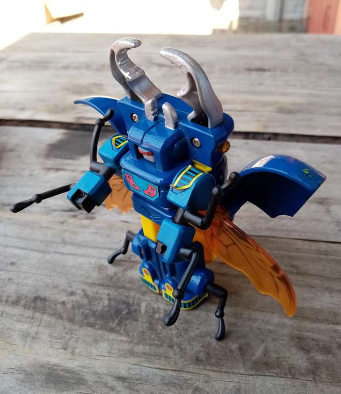 Wow Vintage Insect Bot Stag Beetle