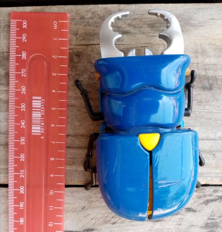 Wow Vintage Insect Bot Stag Beetle
