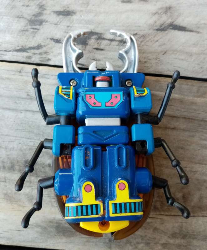 Wow Vintage Insect Bot Stag Beetle