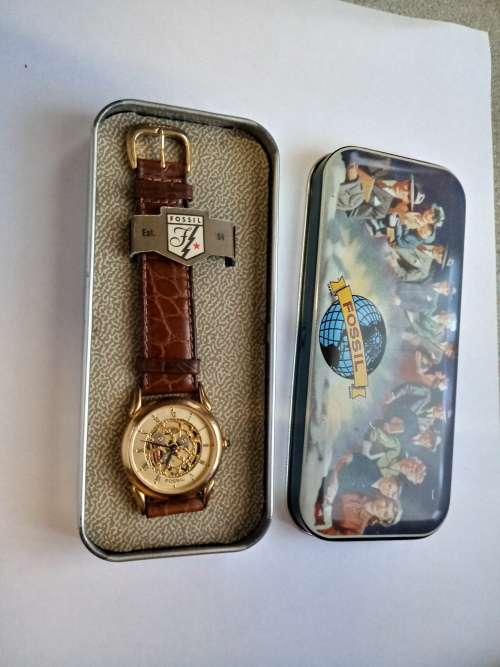 Display model Fossil Skeleton, Free Shipping.