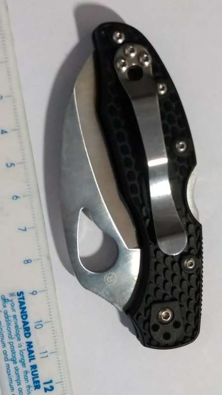 Byrd Hawkbill 2 (Spyderco).
