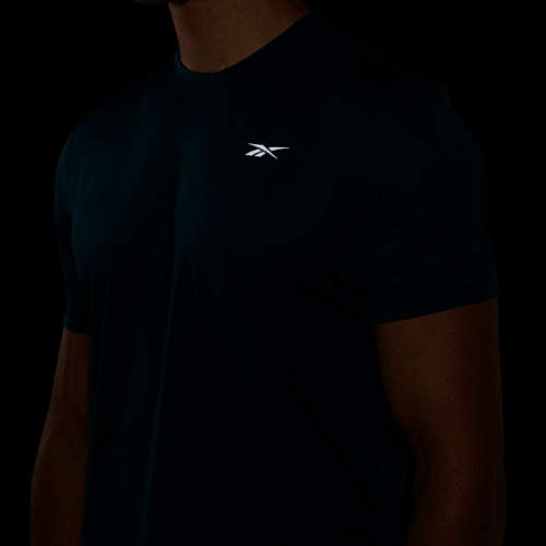 100% Original Reebok GJ6286 RE SS Tee - Large (Retail R599)