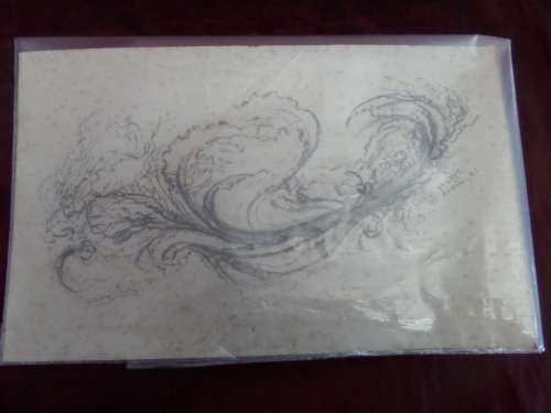 Cecil Higgs 1898-1986 preparation pencil sketch  signed Cecil Higgs 9 April 81 (plant)