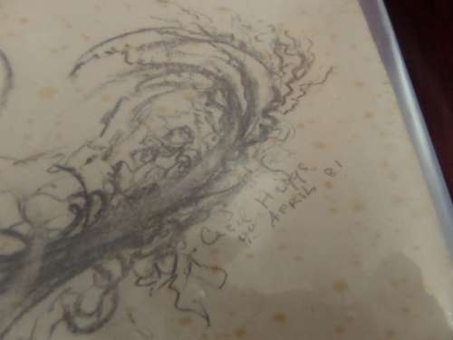 Cecil Higgs 1898-1986 preparation pencil sketch  signed Cecil Higgs 9 April 81 (plant)