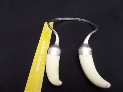 Vintage Designer Metal and Waterhog Teeth Necklace