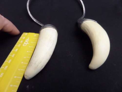 Vintage Designer Metal and Waterhog Teeth Necklace